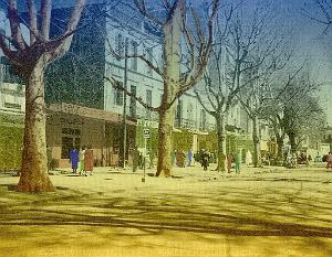 Tlemcen 206- Rue de France-Monneret